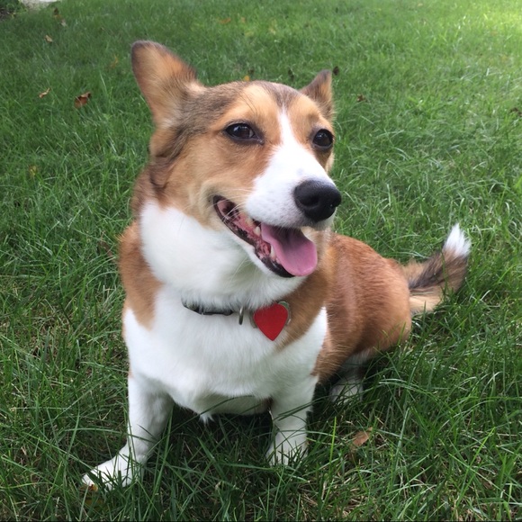 Meet your Posher, Claire - Picture 1 of 1